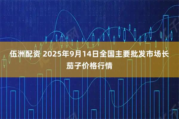 伍洲配资 2025年9月14日全国主要批发市场长茄子价格行情