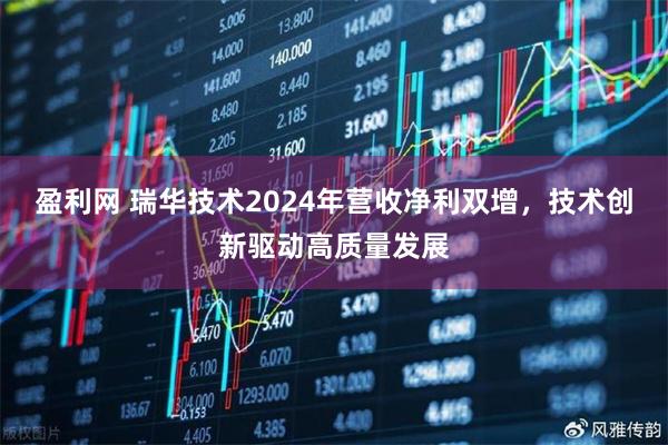 盈利网 瑞华技术2024年营收净利双增，技术创新驱动高质量发展