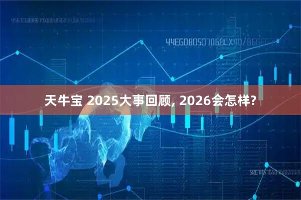 天牛宝 2025大事回顾, 2026会怎样?